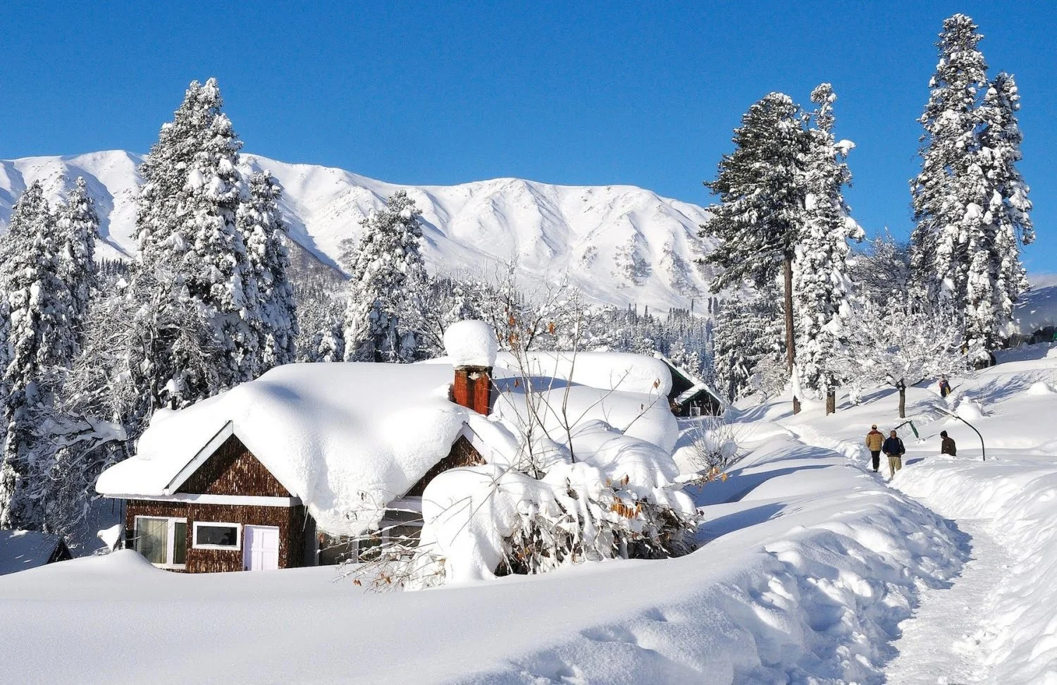 Kashmir landscape showing different seasons - spring blooms, summer greenery, autumn colors and winter snow